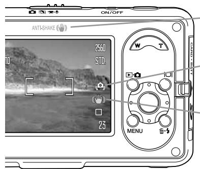 MINOLTA DIMAGE X1 - Définition et qualité d'image - 7