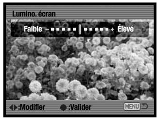 MINOLTA DIMAGE X1 - Luminosité de l'écran ACL - 3