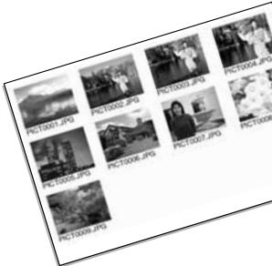 MINOLTA DIMAGE X1 - Impression d'index - 1