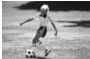 MINOLTA DYNAX 3L - Appuyer sur la touche programmes-résultats jusqu'à ce que le pointeur soit face au mode sport. - 1