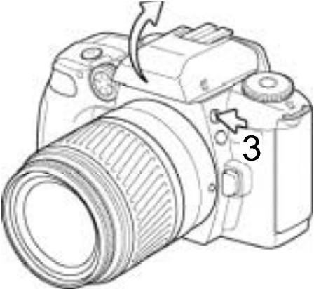 MINOLTA DYNAX 60 - Priorité à l'ouverture - a - 7