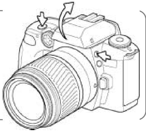 MINOLTA DYNAX 60 - Porteedu FLASH - 1