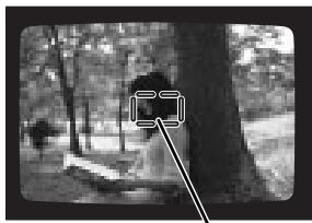 MINOLTA RIVA ZOOM 140 - AF ponctuel - 2