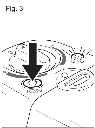 Fig. 3 ION