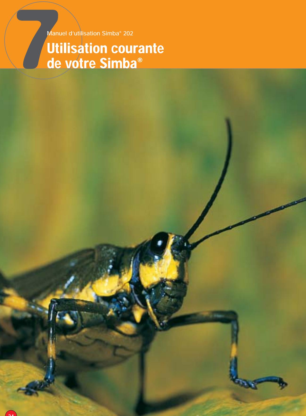 ASTON SIMBA 202 - Pour verrouiller un bouquet - 2
