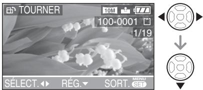 LEICA D-LUX 3 - Appuyez sur « pour sélectionner la photo, puis appuyez sur ▼. - 1