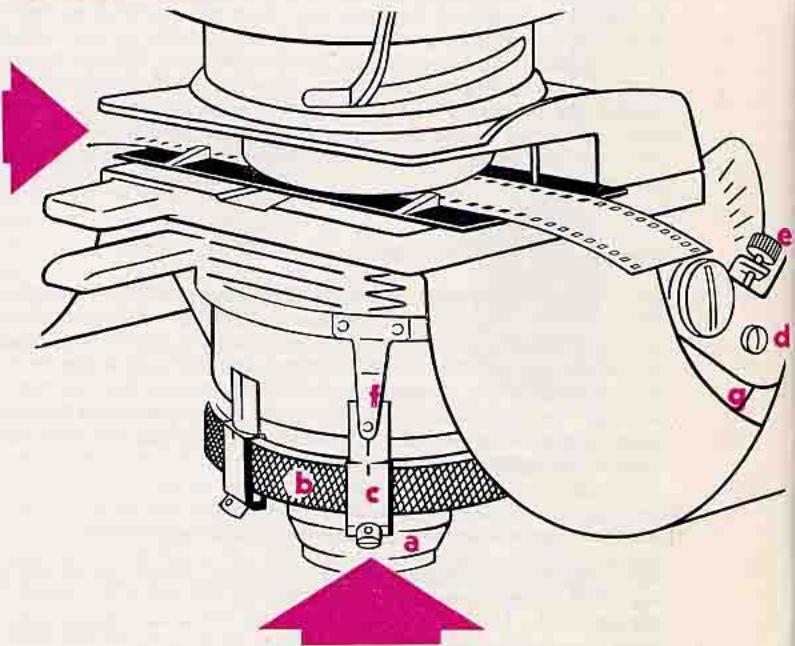 LEICA FOCOMAT IC - Pass-film - 1