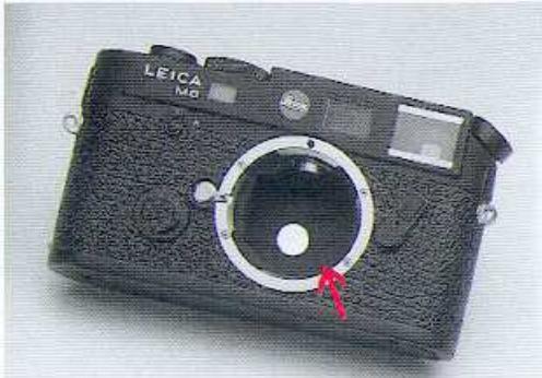 LEICA M6 TTL - Utilisation du flash - 1