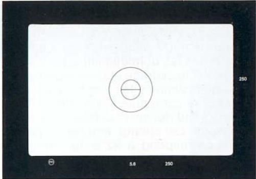 LEICA R5 - Affichages dans le viseur: - 1