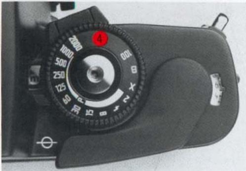 LEICA R5 - Exemple de correction - 1