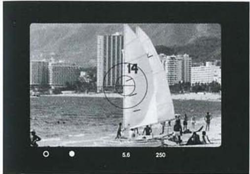 LEICA R6.2 - Occupation de l'oculaire - 1