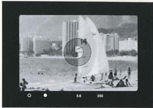 LEICA R6.2 - Occupation de l'oculaire - 2