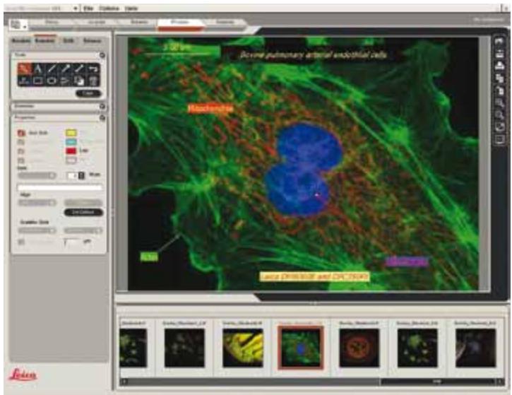 LEICA APPLICATION SUITE EXTENDED ANNOTATION - Module LAS annotations étendues - 1
