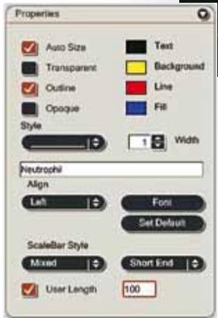 LEICA APPLICATION SUITE EXTENDED ANNOTATION - Des outils d'annotations adaptés - 2