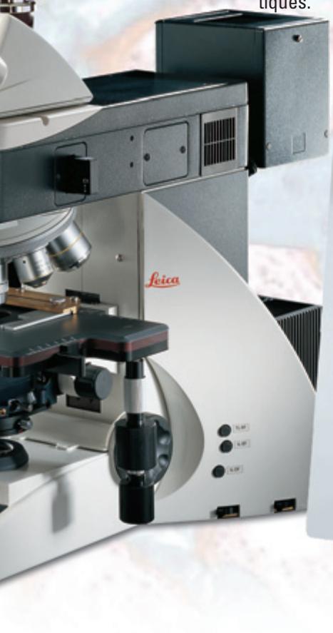 LEICA APPLICATION SUITE INTERACTIVE MEASUREMENT - Résultats détaillés - 1