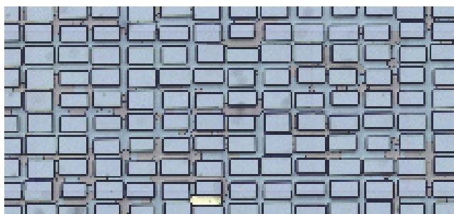 LEICA APPLICATION SUITE POWERMOSAIC - Applications clés - 2