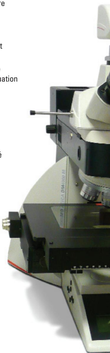 LEICA APPLICATION SUITE POWERMOSAIC - Mosaic en pile Z - 1