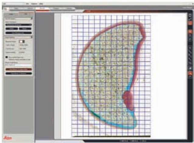 LEICA APPLICATION SUITE POWERMOSAIC - Fonctionnement - 1