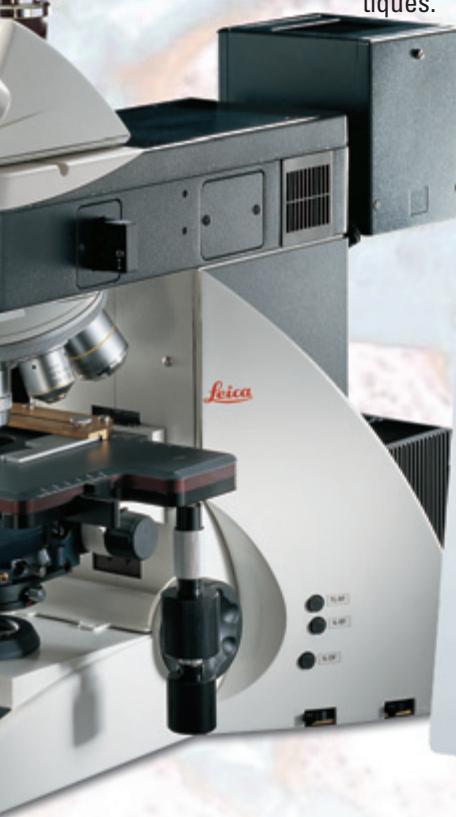 LEICA LAS INTERACTIVE MEASUREMENT - Résultats Détaillés - 1