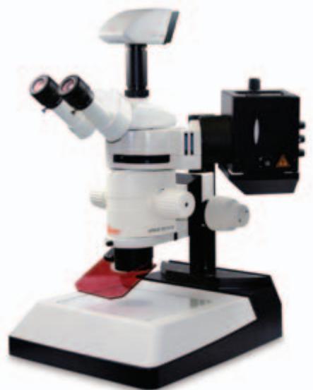 LEICA MZ10 F - Automatisation intelligente de l'enregistrement numérique en fluorescence - 7