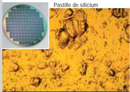 LEICA MICROSCOPE ASSISTANT - Leica SP1600 - 5