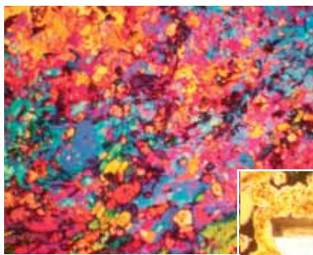 LEICA MICROSCOPE ASSISTANT - Microtomes pour le contrôle des matériaux basé sur la coupe des concepts qui ont fait leurs preuves et des détails innovants - 1