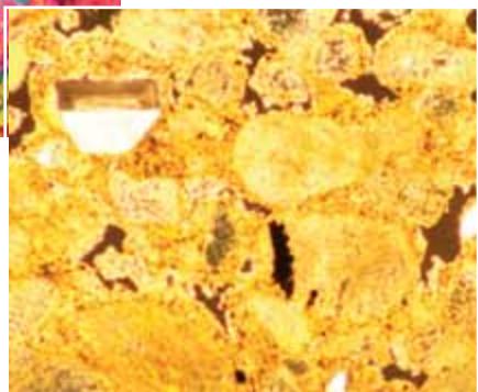 LEICA MICROSCOPE ASSISTANT - Microtomes pour le contrôle des matériaux basé sur la coupe des concepts qui ont fait leurs preuves et des détails innovants - 2