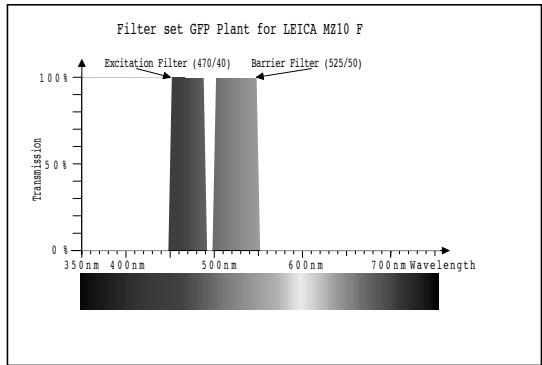 LEICA MZ 10 F - Jeux de filtres pour leica MZ10 f - 3