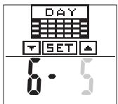 TANITA BC 545 - Set Day - 1