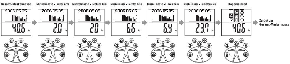 TANITA BC 545 - Muskelasse: - 1