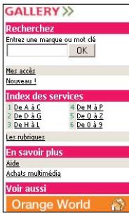ORANGE SPV C500 - le 712 renseignements directs Orange - 1
