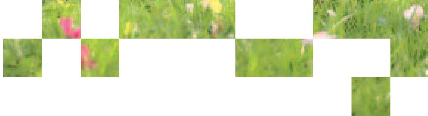 ORANGE GUIDE PRATIQUE M6 MOBILE BY - LES SERVICES GratisITS - 1