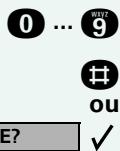 ORANGE 8510 - Commander des ordinateurs raccordés ou leurs programmes / Service de données téléphonique (uniquement pour Diatonis easy M) - 1