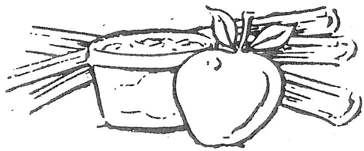 BREVILLE PW1 - SCONES AUX FRUITS - 1