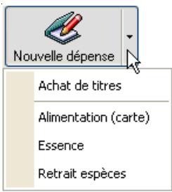 CIEL COMPTES PERSONNELS 3 - UTILISATION DES MODELES - 1