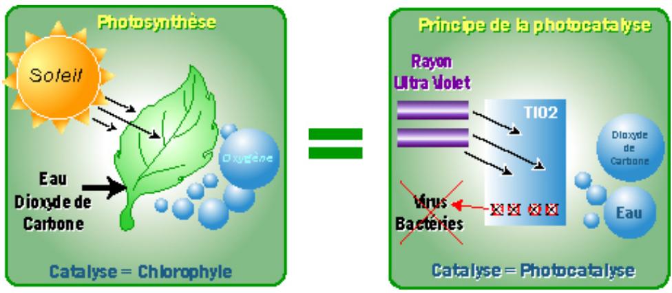 PUR LINE BS3500BM - Principe de la photocatalysse : - 1