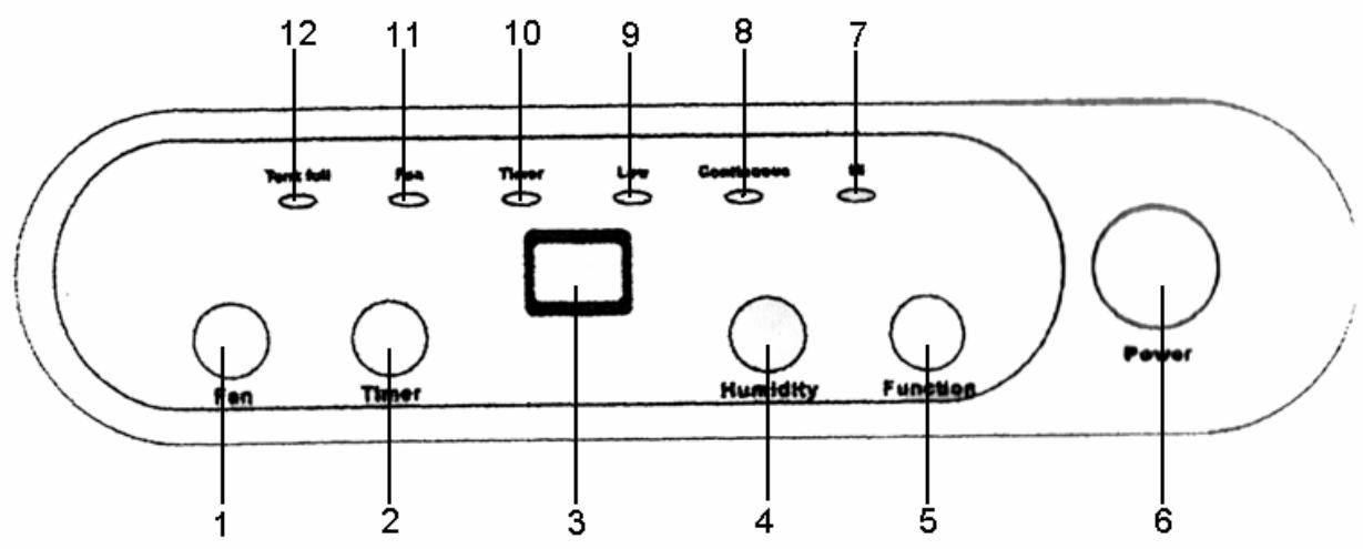 PUR LINE DAISY 08 - DESCRIPTIF - 3
