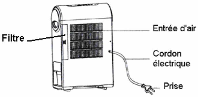 PUR LINE DAISY 08 - DESCRIPTIF - 2