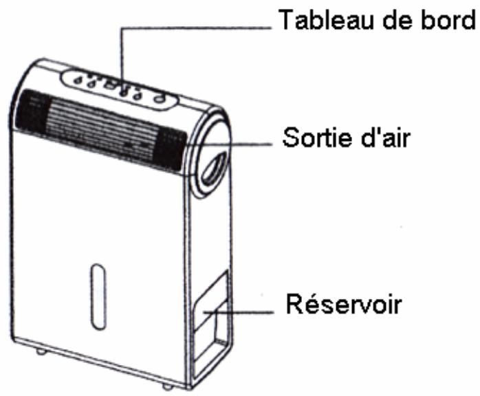 PUR LINE DAISY 08 - DESCRIPTIF - 1