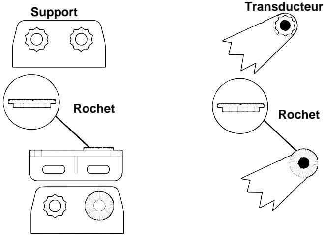 EAGLE SEACHARTER 480DF - Assemblage du support - 3