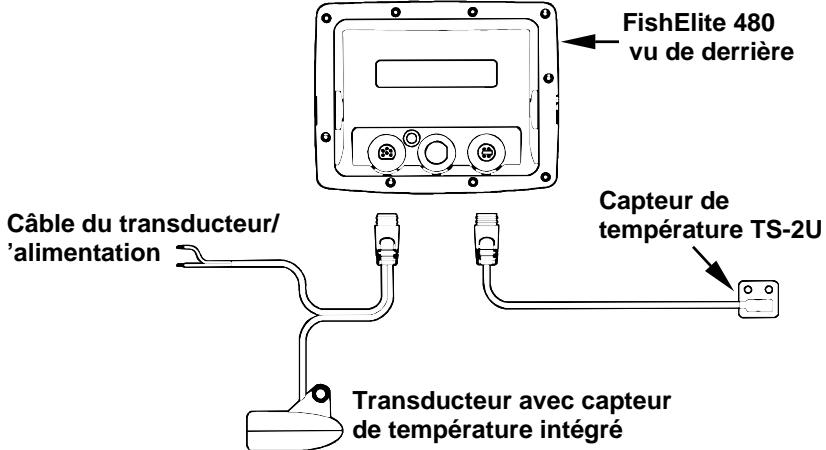 EAGLE SEACHARTER 480DF - REMARQUE: - 1