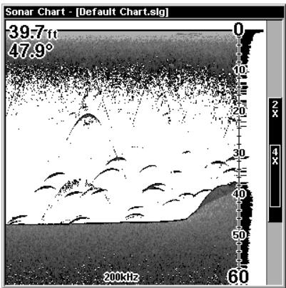 EAGLE SEACHARTER 480DF - Sondeur Plein Ecran - 1