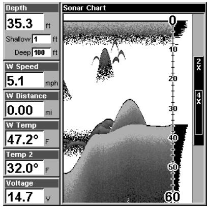 EAGLE SEACHARTER 480DF - Ecran du Sondeur - 5