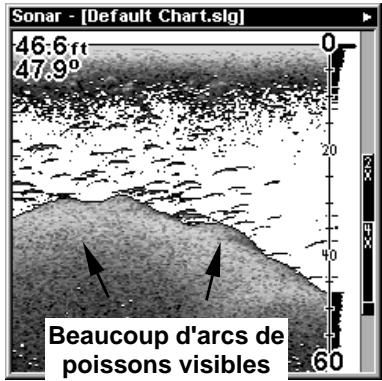 EAGLE SEACHARTER 480DF - Fish I.D.™ (Symboles &amp; Profondeurs des Poisson) - 3