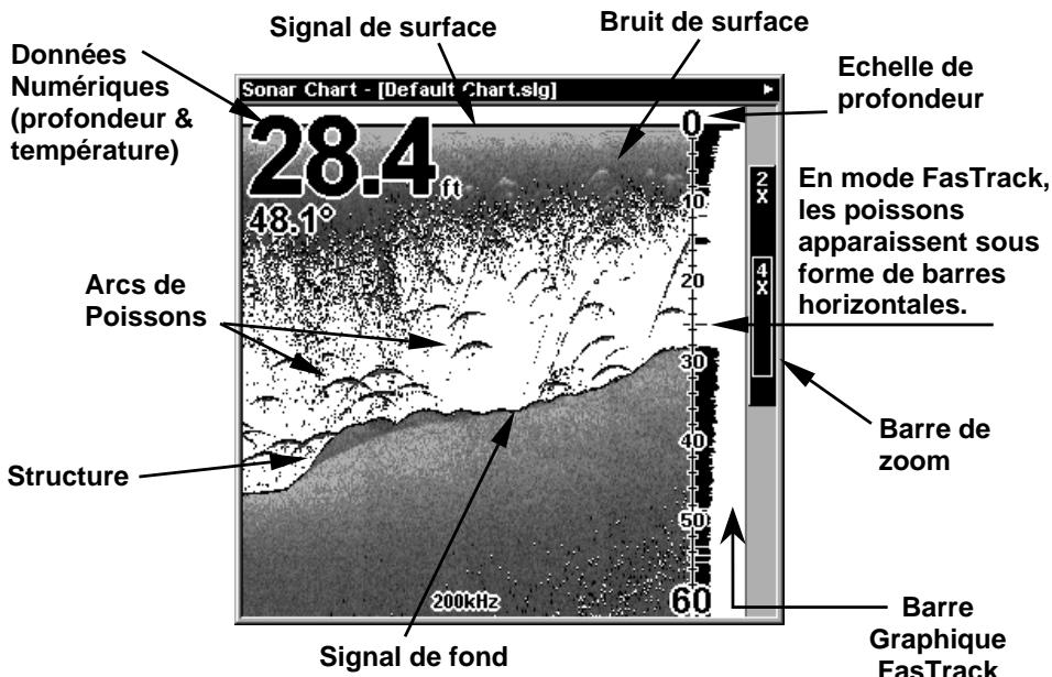 EAGLE SEACHARTER 480DF - Ecran du Sondeur - 7