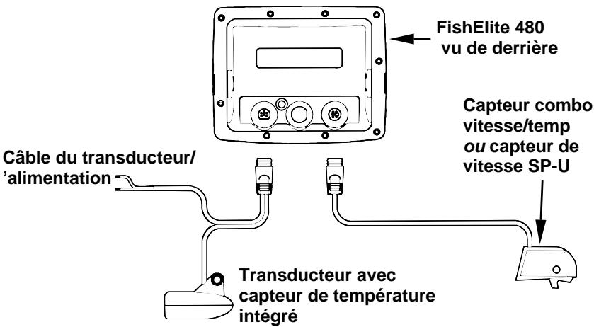 EAGLE SEACHARTER 480DF - REMARQUE: - 2