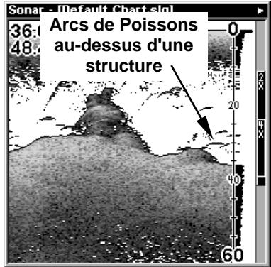 EAGLE SEACHARTER 480DF - Fish I.D.™ (Symboles &amp; Profondeurs des Poisson) - 5