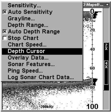 EAGLE SEACHARTER 480DF - Curseur de Profondeur - 1