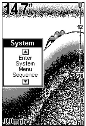 EAGLE SEAFINDER 240DF - RÉGLAGE DU SYSTEMÉME (SYSTEM SETUP) - 1