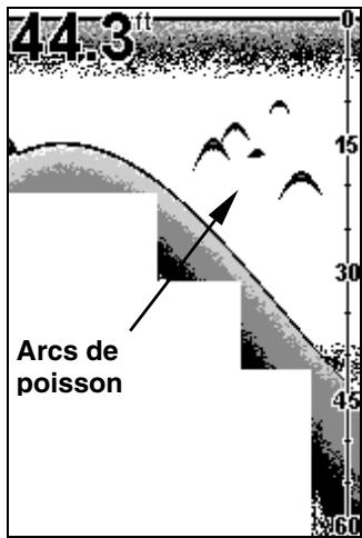 EAGLE SEAFINDER 240DF - REPÉRAGE DES POISSONS - FISH I.D. - 1